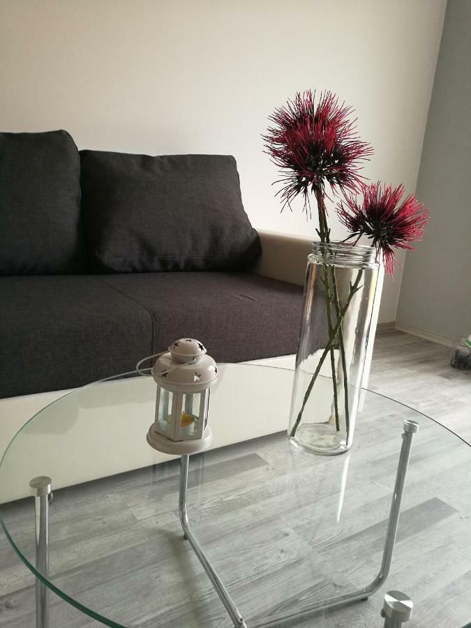Apartman Ivankovic*** PUY Eksteriør bilde